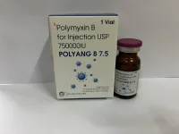 POLYANG-B